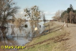 High97River3 * The river ran high in 1997