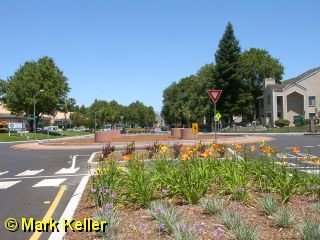 roundabout * (10 Slides)