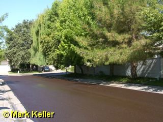 PDRM7978 * Slurry Seal