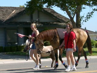 MK020704T5898CF.jpg (25383 bytes)