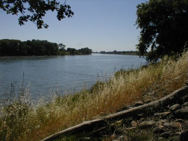 The Sacramento River